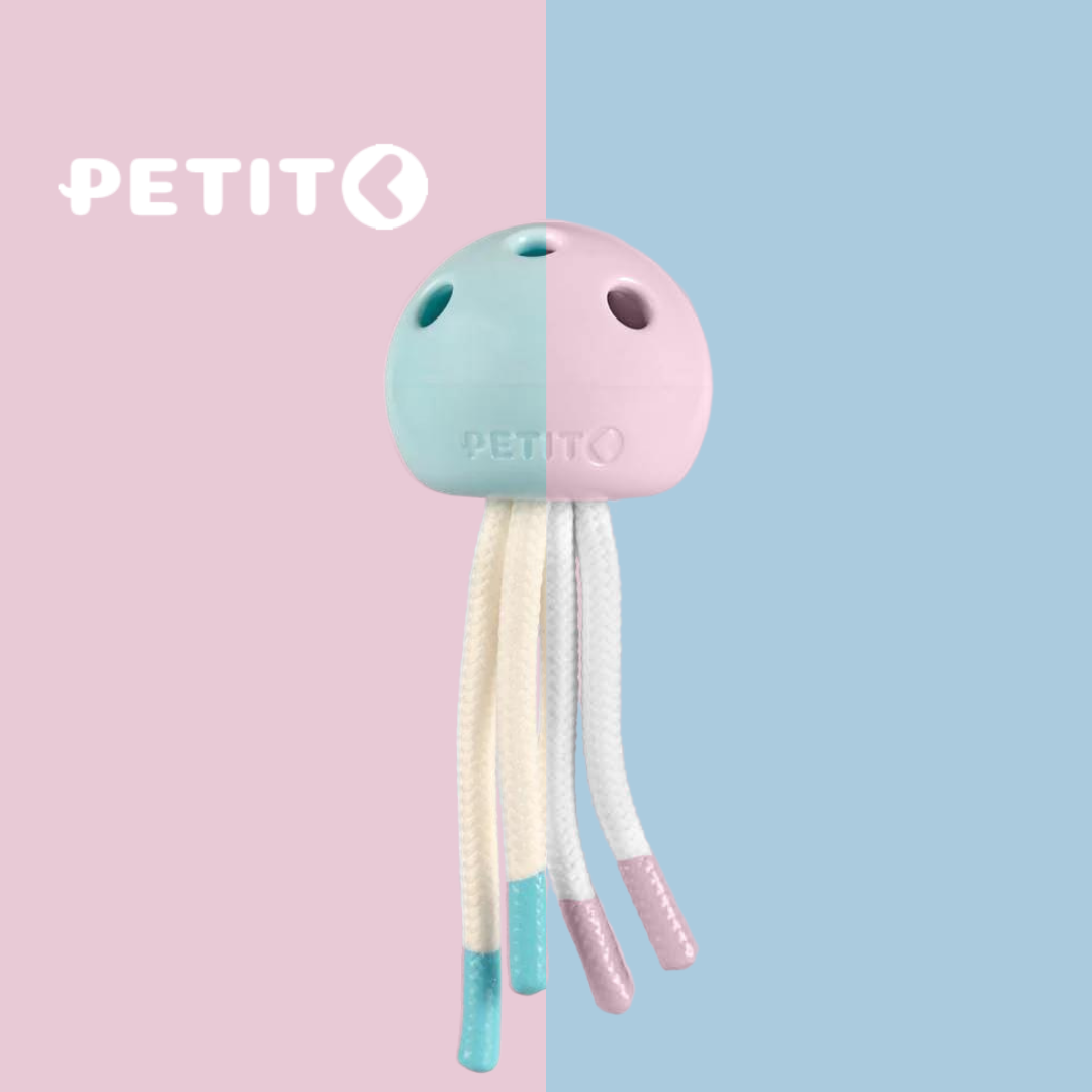 https://cdn.shopify.com/s/files/1/0684/6883/4571/files/PetitToys_PuppyToy_Milo_PAWSUP_PETSHOP_6.png?v=1760093483